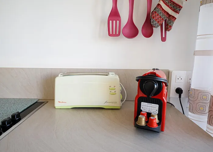 Menton City - Proche Plage Et Jardin Bioves - Fv 芒通